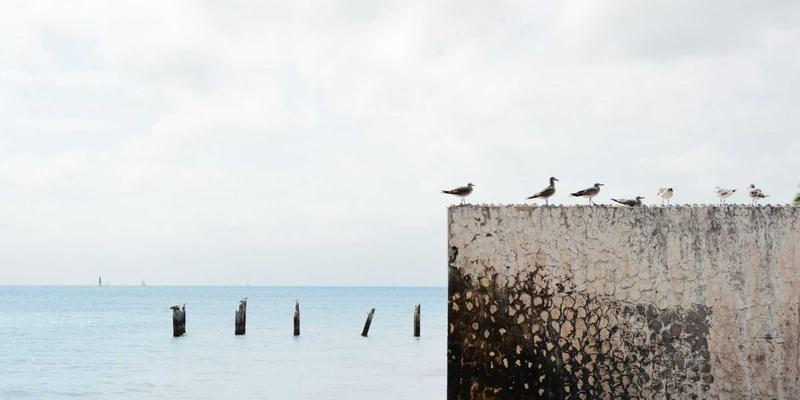 从灵感到家园:深度解析彩尔装饰别墅全案设计流程,揭秘北欧风格如何完美落地