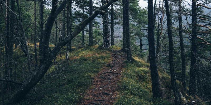 光影的诗学：彩尔装饰如何用灯光设计塑造空间情绪与绿色生活美学