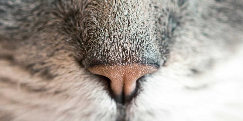 告别传统客厅！彩尔装饰解析北欧风‘去客厅化’设计，如何重塑家庭核心互动区