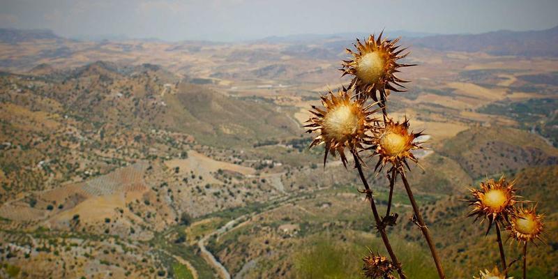 家有萌宠，如何打造高颜值又耐造的北欧风？彩尔装饰揭秘三大设计法则