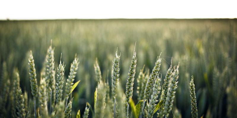 彩尔装饰揭秘：如何用模块化设计与绿色建材，打造能“长大”的北欧风儿童房