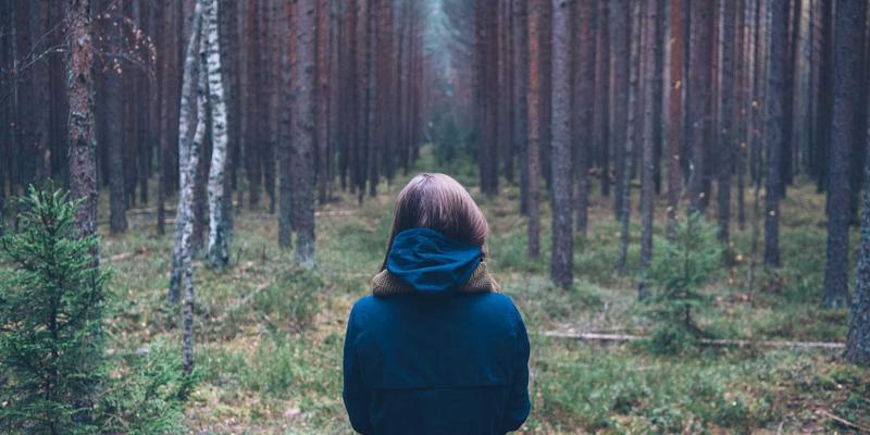 彩尔装饰新中式设计：当东方意境邂逅现代生活，北欧极简如何成为点睛之笔？